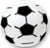 inflatable socer ball